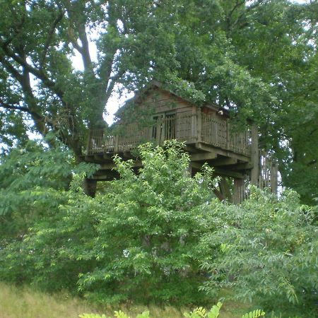 Cabane Perchee Solferino ภายนอก รูปภาพ