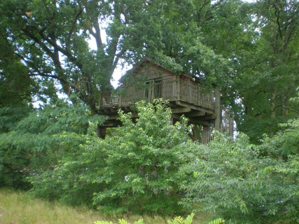 Cabane Perchee Solferino ภายนอก รูปภาพ