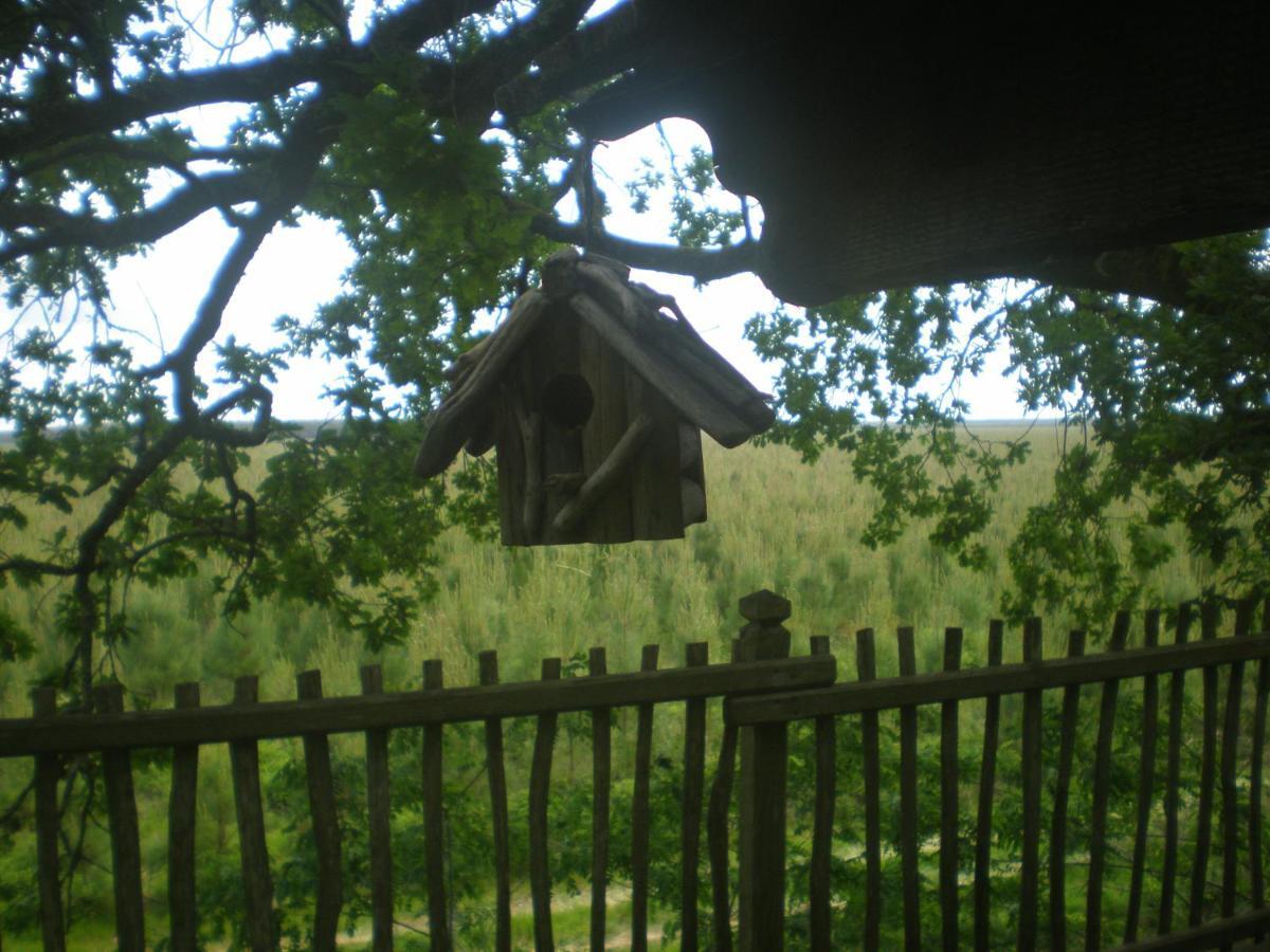 Cabane Perchee Solferino ภายนอก รูปภาพ